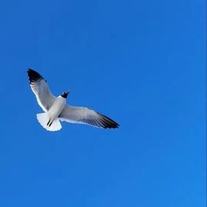 Meet your Posher, Avery